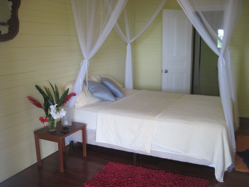 Sand Dollar Beach Bed & Breakfast 보카스 타운 외부 사진