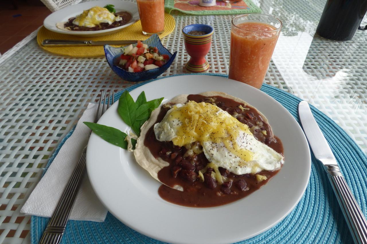 Sand Dollar Beach Bed & Breakfast 보카스 타운 외부 사진